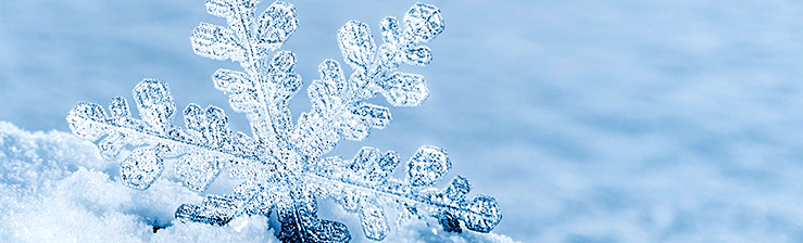 Attrezzature per la Refrigerazione
